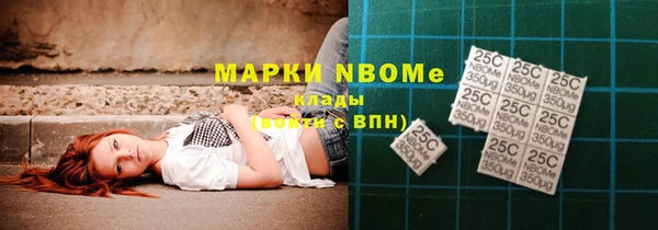 гашик Дмитров