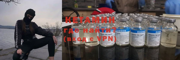 гашик Дмитров