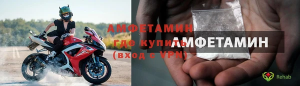 гашик Дмитров