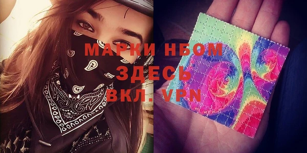 тгк Дмитровск