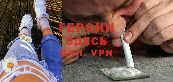 гашик Дмитров