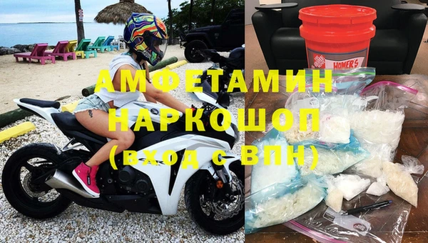 гашик Дмитров