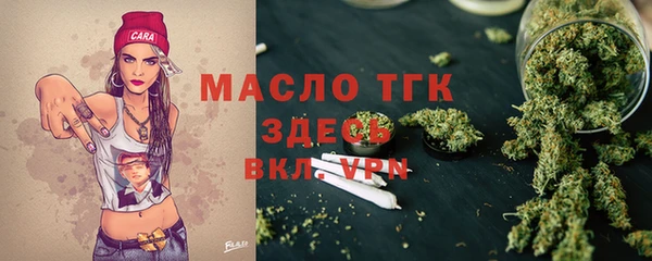 тгк Дмитровск