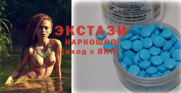 гашик Дмитров