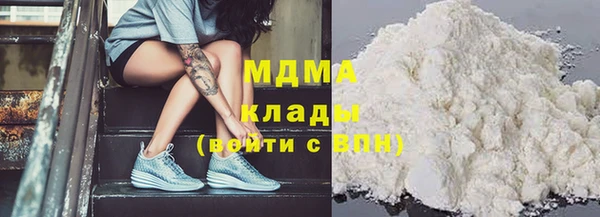 гашик Дмитров