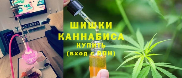 гашик Дмитров