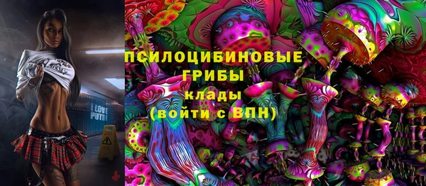 гашик Дмитров