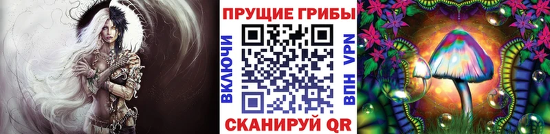 Псилоцибиновые грибы MAGIC MUSHROOMS  Купить  Приволжск 